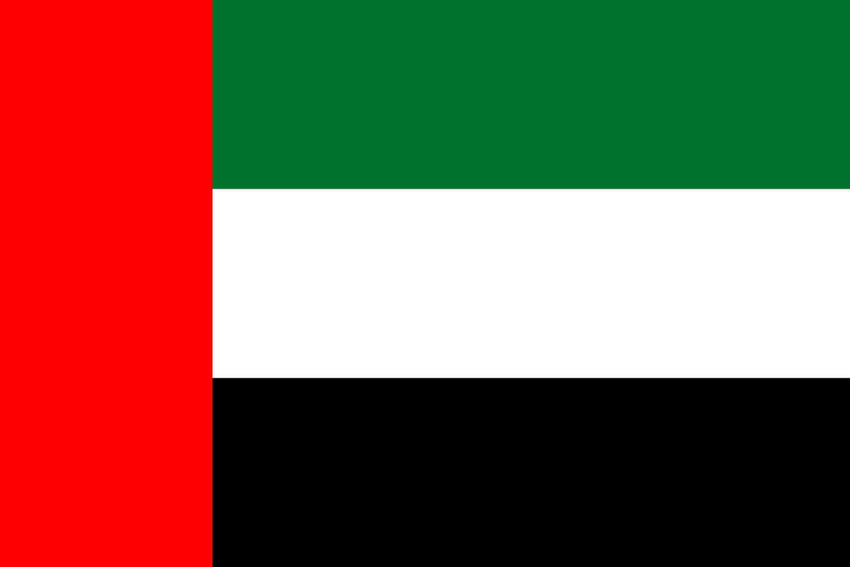 MENA flag