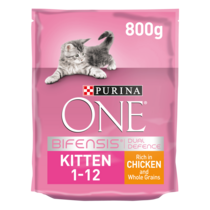 Caring For A Newborn Kitten Top Tips Purina