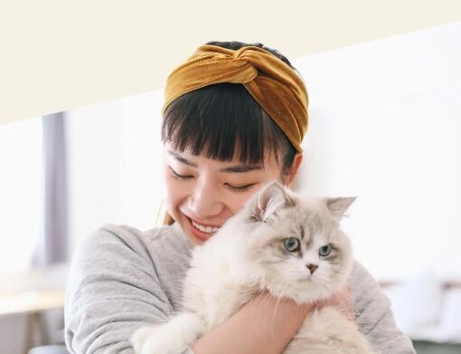 Woman Holding White Cat